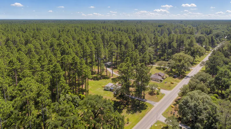 Aerial view of pine forest and rural homesites along a two-lane road, land clearing in Brazos County, Texas